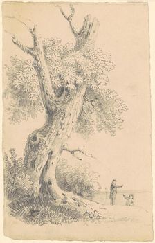Tree Near the Shore, c. 1830-1835. Creator: James Goodwyn Clonney