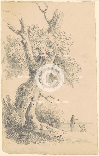 Tree Near the Shore, c. 1830-1835. Creator: James Goodwyn Clonney.