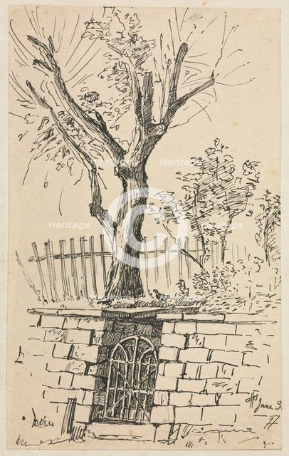 Tree on Top of a Stone Wall, Cleveland. Creator: Otto H. Bacher (American, 1856-1909).