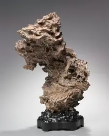 Tree Root, before 1800s. Creator: Unknown