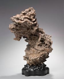 Tree Root, before 1800s. Creator: Unknown
