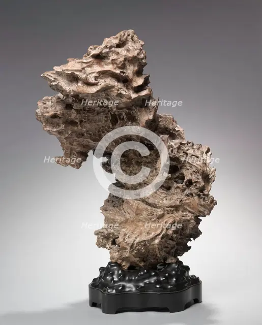 Tree Root, before 1800s. Creator: Unknown.