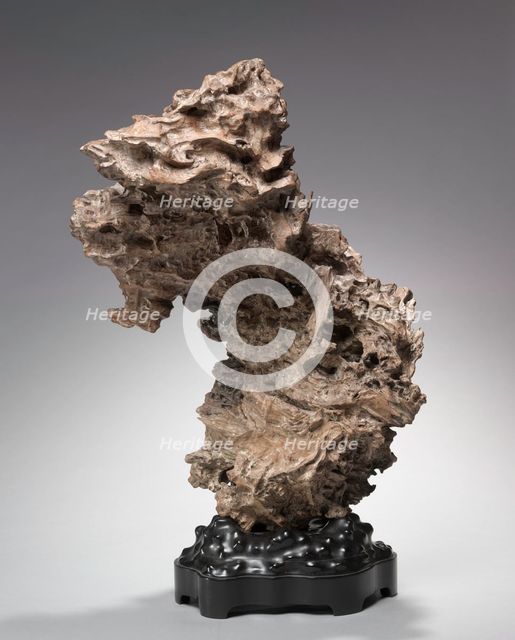 Tree Root, before 1800s. Creator: Unknown.