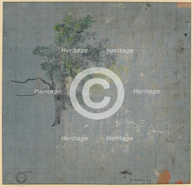 Tree Studies, first half 1800s. Creator: Johann Jacob Dorner (German, 1775-1852).