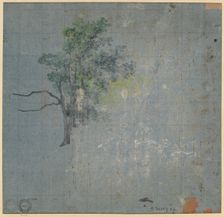 Tree Studies, first half 1800s. Creator: Johann Jacob Dorner (German, 1775-1852)