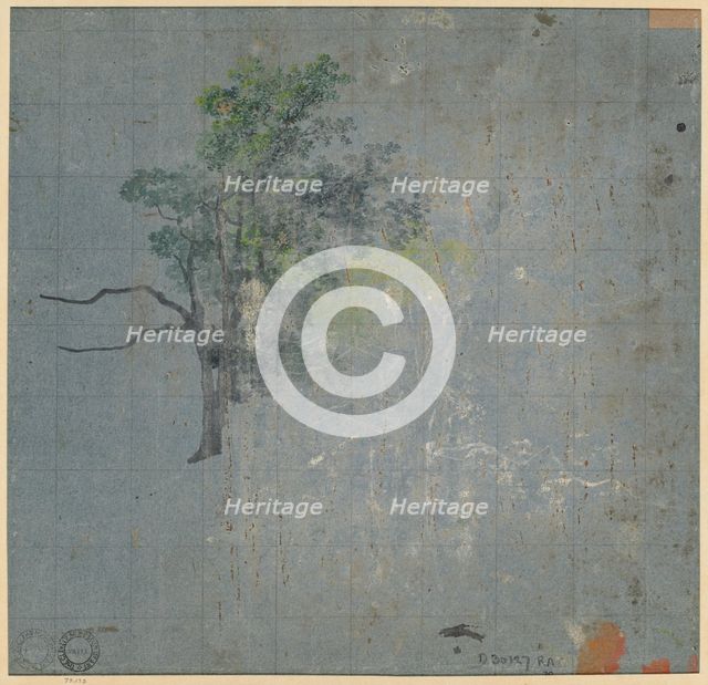 Tree Studies, first half 1800s. Creator: Johann Jacob Dorner (German, 1775-1852).