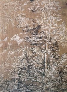 Tree Study 1519 Artist: Wolf Huber
