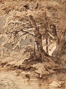 Tree study, undated. (c1850s) Creator: Friedrich Gauermann
