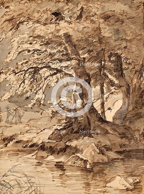 Tree study, undated. (c1850s) Creator: Friedrich Gauermann.