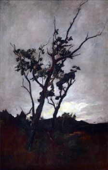 Tree study, c1893-98. Creator: Petrus van der Velden