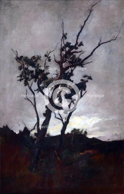 Tree study,  c1893-98. Creator: Petrus van der Velden.