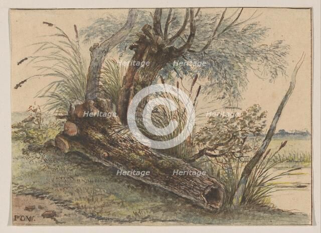 Tree stump in the reeds, 1801-1873. Creator: George Pieter Westenberg.