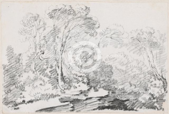 Trees, 1744/1750. Creator: Joseph-Marie Vien the Elder.