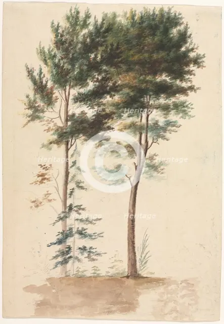 Trees, 1700s(?). Creator: Jean Baptiste Pillement (French, 1728-1808).
