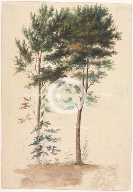 Trees, 1700s(?). Creator: Jean Baptiste Pillement (French, 1728-1808).