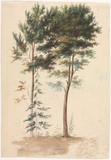 Trees, 1700s(?). Creator: Jean Baptiste Pillement (French, 1728-1808)