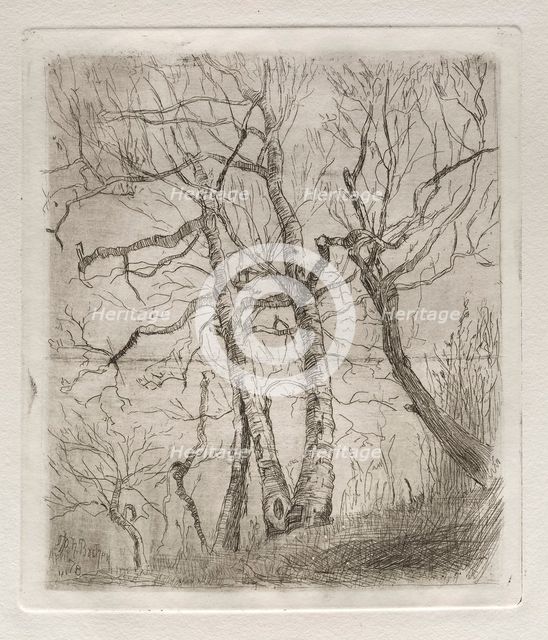 Trees, 1878. Creator: Otto H. Bacher (American, 1856-1909).