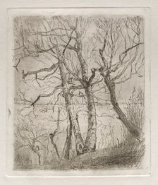 Trees, 1878. Creator: Otto H. Bacher (American, 1856-1909)