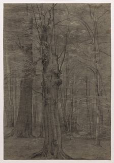 Trees. Creator: Leopold Bode (German, 1831-1906)