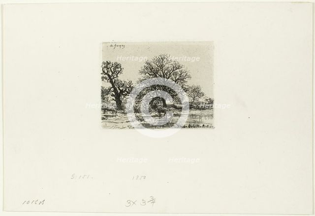 Trees and Cows near a Pond, 1850. Creator: Charles Emile Jacque.