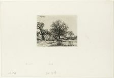 Trees and Cows near a Pond, 1850. Creator: Charles Emile Jacque