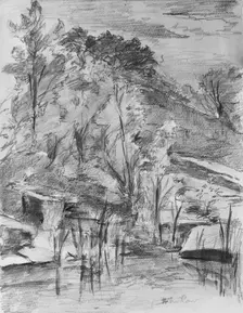 Trees and Stream, . Creator: Walter Shirlaw