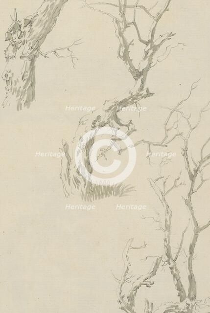 Trees and tree trunk, c.1780-c.1800. Creator: Bernhard Heinrich Thier.