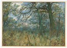 Trees and Undergrowth, 1885. Creator: Garden William Fraser (British, 1856-1921)
