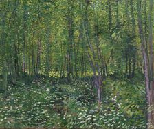 Trees and underwood, 1887. Artist: Gogh, Vincent, van (1853-1890)