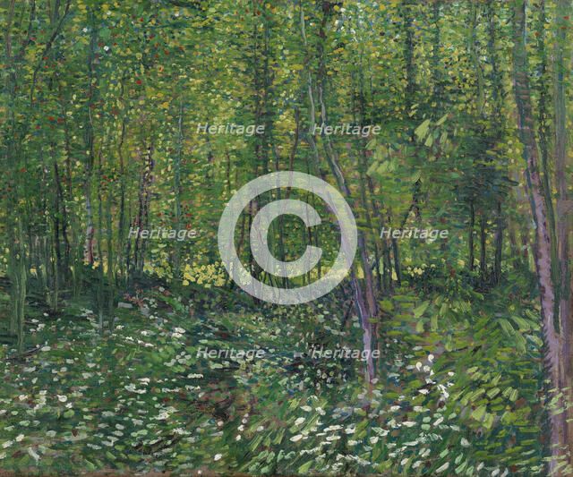 Trees and underwood, 1887. Artist: Gogh, Vincent, van (1853-1890)