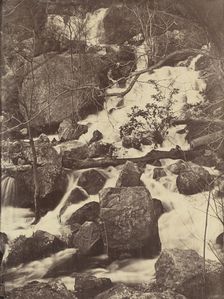 [Trees and Waterfalls], 1860-65. Creator: Charles Nègre