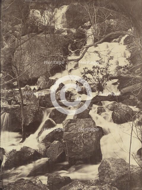[Trees and Waterfalls], 1860-65. Creator: Charles Nègre.