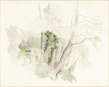 Trees at Beddington, possibly c. 1805. Creator: Robert Hills