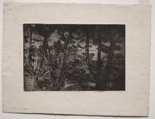 Trees at Night, c. 1894. Creator: Armand Séguin (French, 1869-1903)