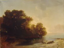 Trees at the lake