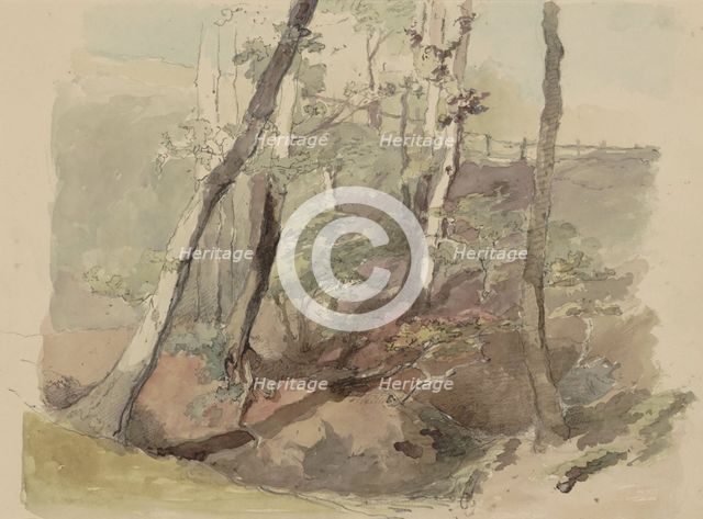 Trees bordered by a fence on the Hoog Oorsprong estate, 1864-c.1865. Creator: Maria Vos.