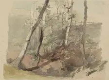 Trees bordered by a fence on the Hoog Oorsprong estate, 1864-c.1865. Creator: Maria Vos