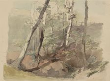Trees bordered by a fence on the Hoog Oorsprong estate, 1864-c.1865. Creator: Maria Vos