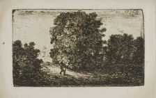 Trees Bordering a Road, n.d. Creator: John Clerk