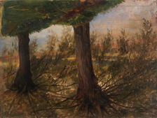 Trees beside a Stream, late 19th-early 20th century. Creator: Eliphalet Frazer Andrews