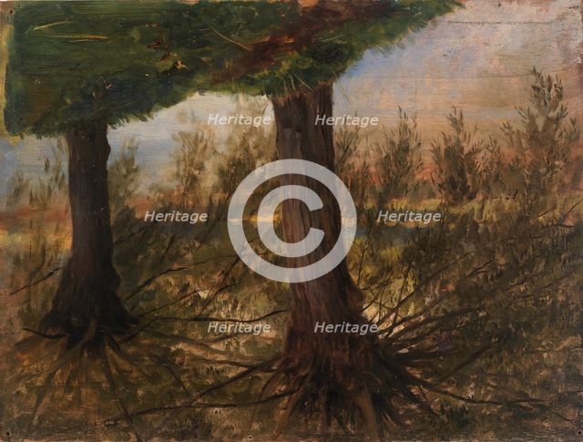 Trees beside a Stream, late 19th-early 20th century. Creator: Eliphalet Frazer Andrews.