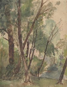 Trees Beside a Pond, 1853-1878. Creator: Louis-Antoine-Leon Riesener
