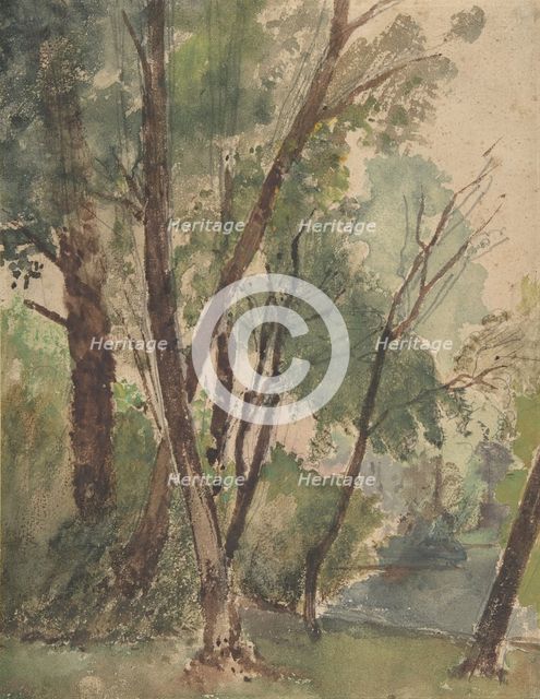 Trees Beside a Pond, 1853-1878. Creator: Louis-Antoine-Leon Riesener.