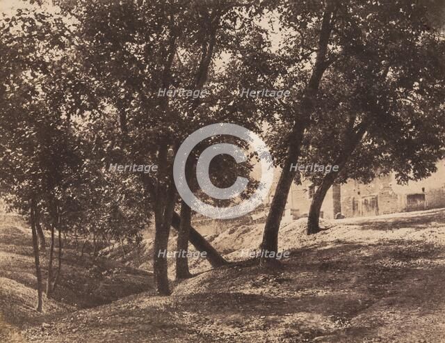 Trees, c. 1855. Creator: André Giroux.