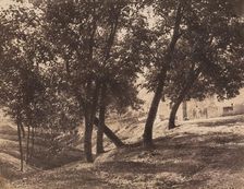 Trees, c. 1855. Creator: André Giroux