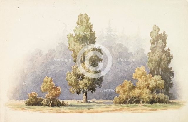 Trees, c1890s. Creator: Albert Edelfelt.