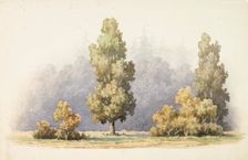 Trees, c1890s. Creator: Albert Edelfelt
