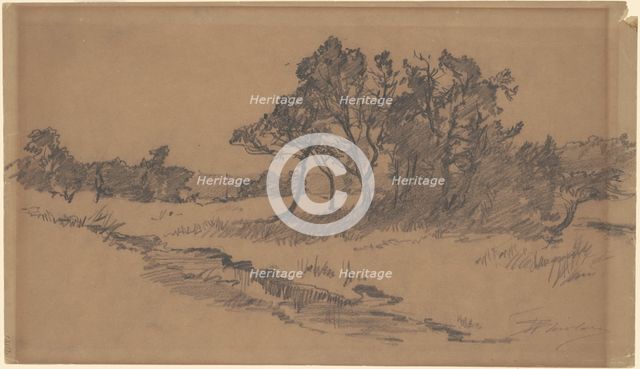Trees in a Field, late 19th century. Creator: Walter Shirlaw.