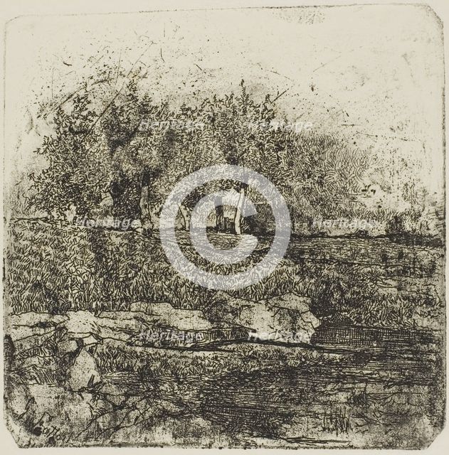 Trees in a Meadow, n.d. Creator: Giovanni Fattori.