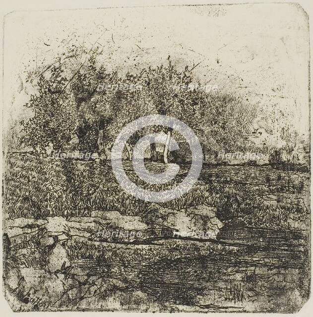 Trees in a Meadow, n.d. Creator: Giovanni Fattori.